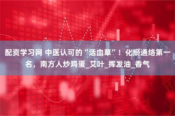 配资学习网 中医认可的“活血草”！化瘀通络第一名，南方人炒鸡蛋_艾叶_挥发油_香气