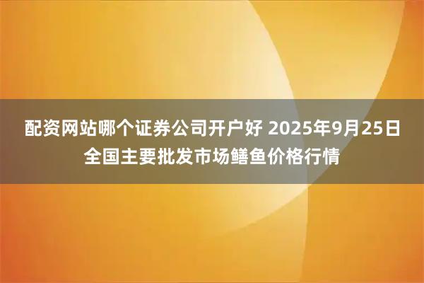 配资网站哪个证券公司开户好 2025年9月25日全国主要批发市场鳝鱼价格行情