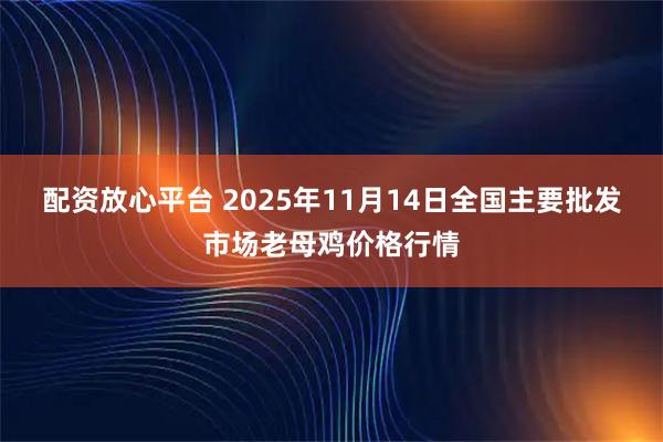 配资放心平台 2025年11月14日全国主要批发市场老母鸡价格行情